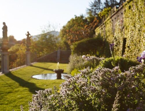 ASSUNZIONE COORDINATORE/TRICE DELLA FORMAZIONE PROFESSIONALE